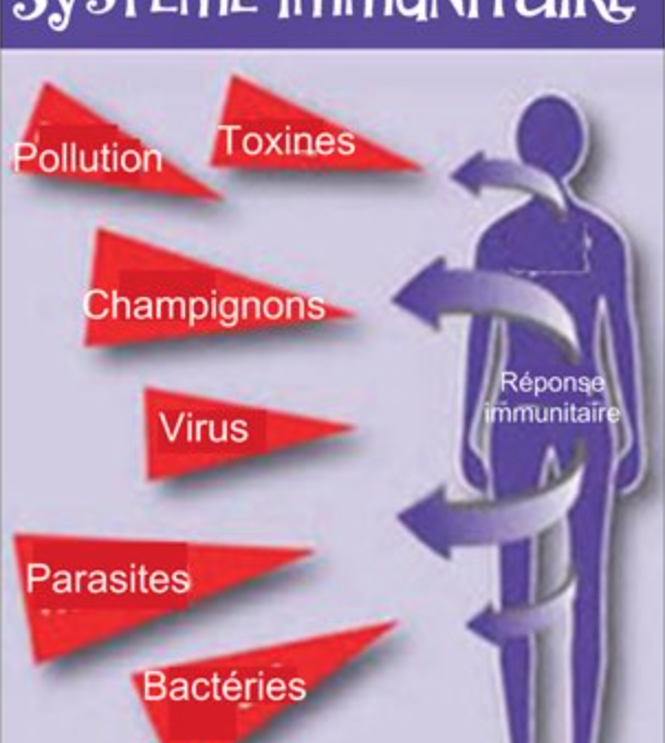 Les gestes qui sauvent en cas d’épidémie…