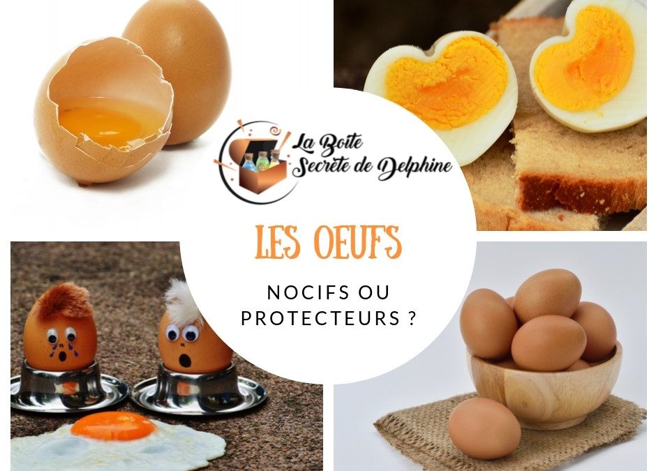 Les oeufs : Nocifs ou protecteurs ?