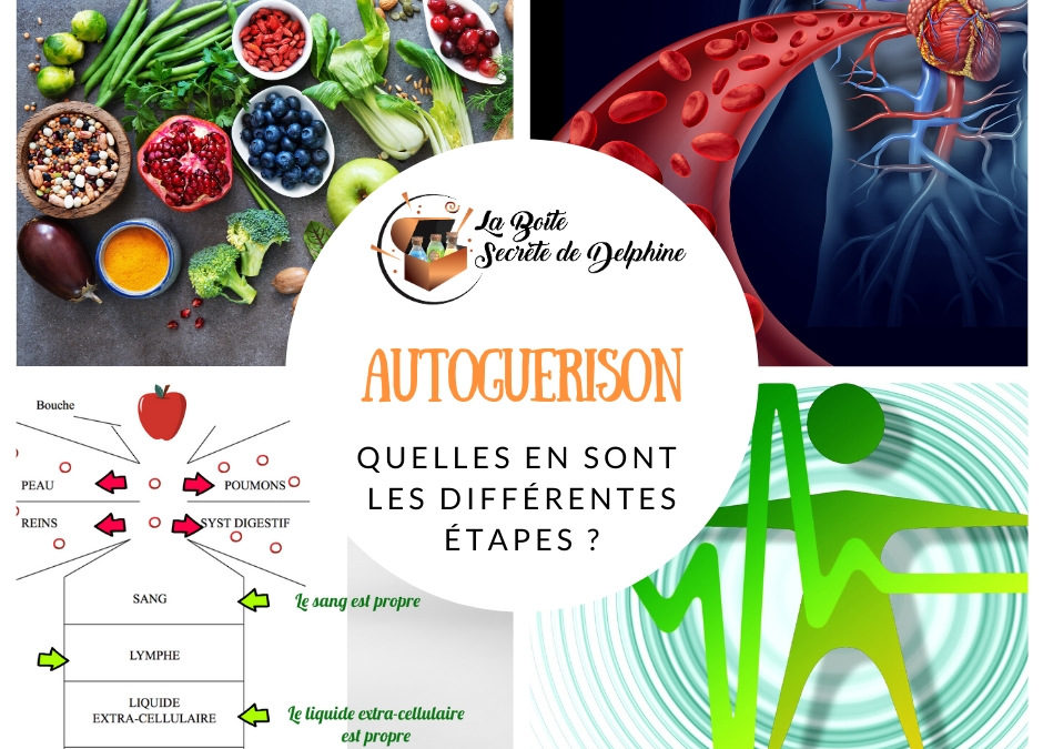 Quelles sont les différentes étapes de l’autoguérison ?